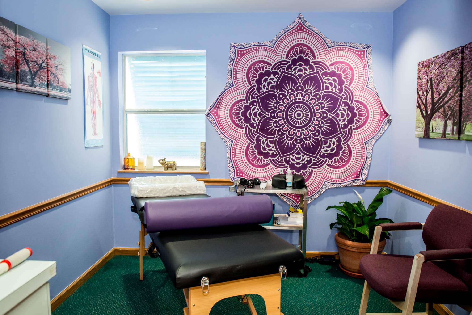 Chiropractor Rooms